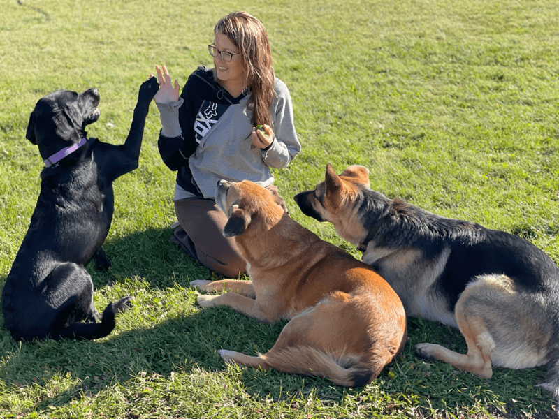 Wiggle Butts Day Home